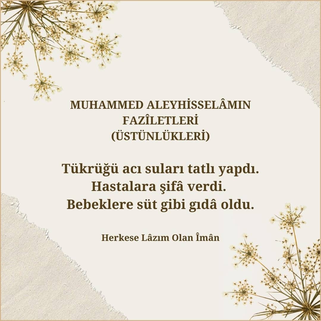 Üstünlükleri (14)